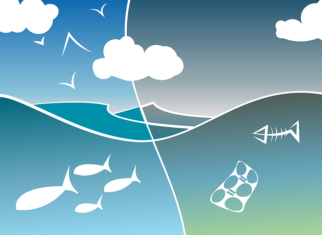 Transforming Ocean Garbage To New Roads
